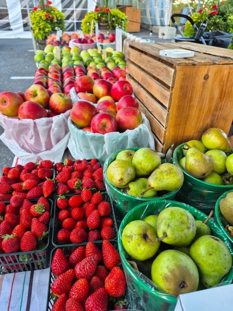 Pie in the Sky Farm and Bakery